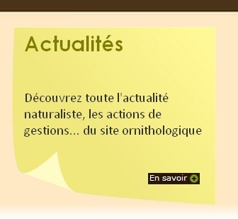Site Ornithologique départemental des Cinq-Tailles, Actualités